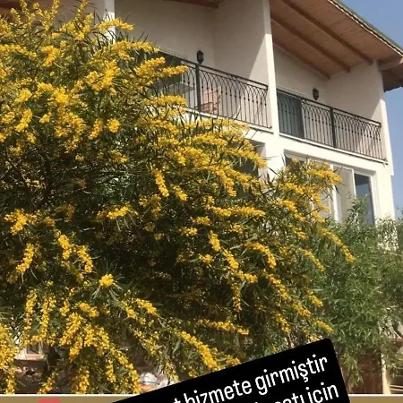 Apartman Galaba Ezel *