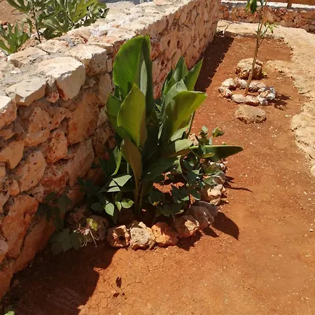 Apartman Galaba Ezel Kaş