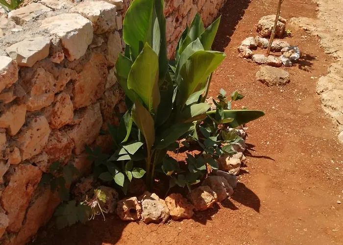 Lägenhet Galaba Ezel Kaş